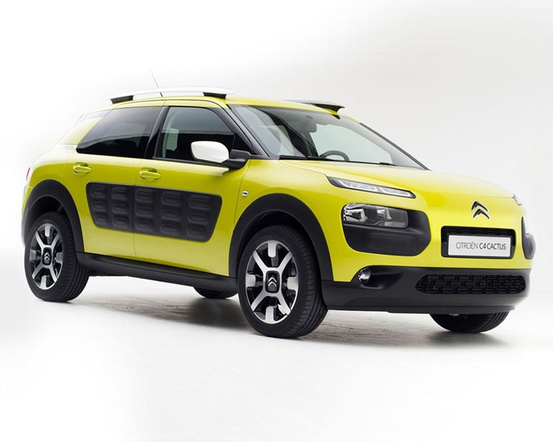 C4 Cactus